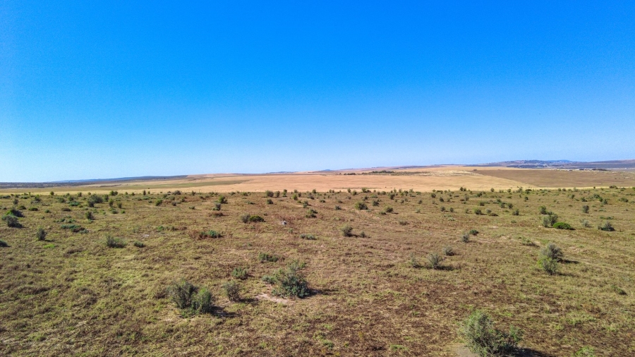 0 Bedroom Property for Sale in Welgedaan Estate Western Cape